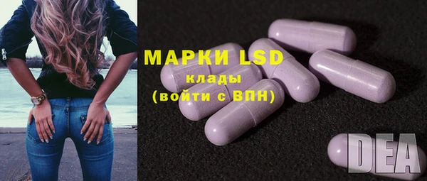 спиды Вяземский