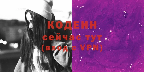 спиды Вяземский