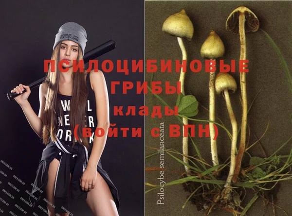 эйфоретик Вязники