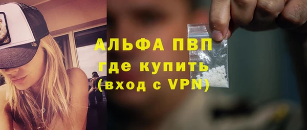 спиды Вяземский