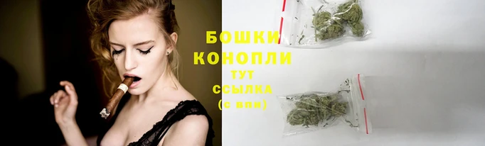 спиды Вяземский