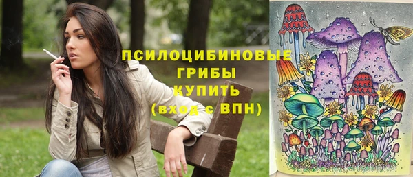 трава Вязьма