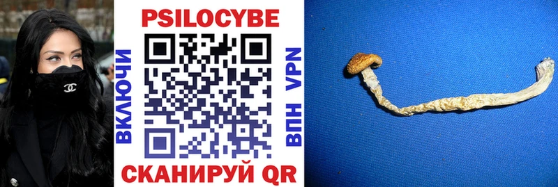 Галлюциногенные грибы Magic Shrooms  Купить где  Козловка 